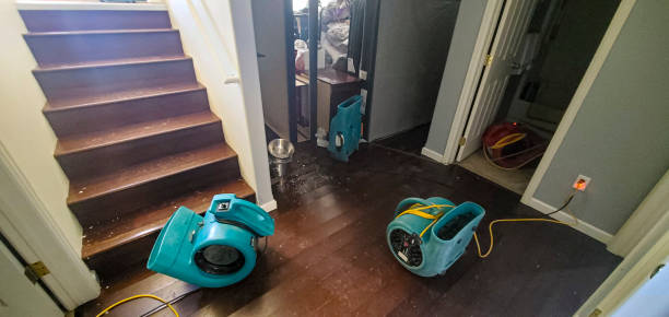 Best Flood restoration services  in Stuarts Draft, VA