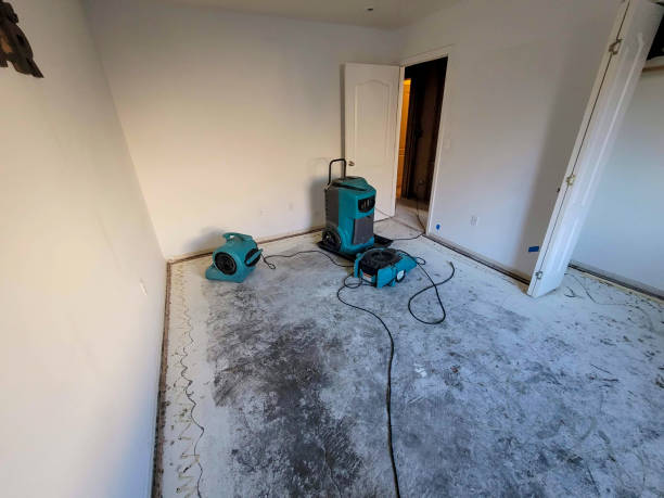 Best Mold removal after water damage  in Stuarts Draft, VA