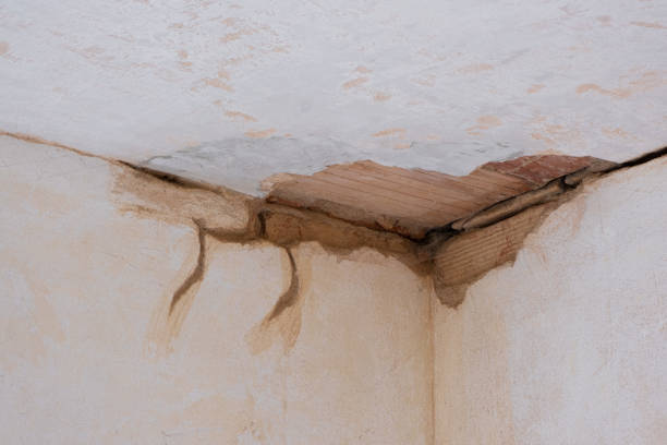 Best Emergency water damage restoration  in Stuarts Draft, VA