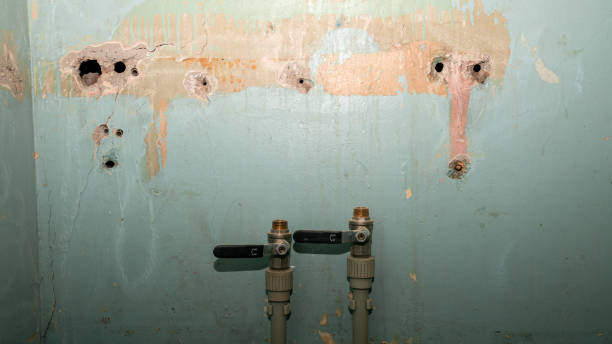 Best 24-hour water damage restoration  in Stuarts Draft, VA