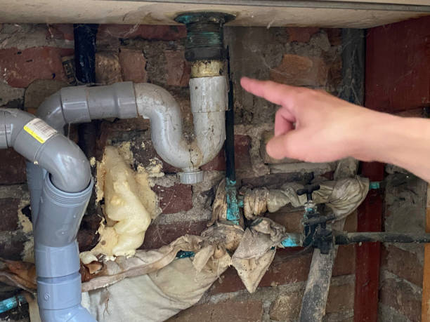 Best Sewage cleanup and water damage restoration  in Stuarts Draft, VA
