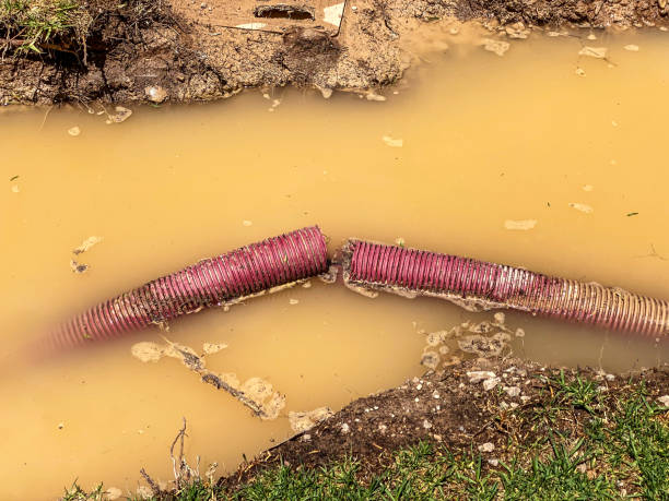 Best Carpet water damage restoration  in Stuarts Draft, VA