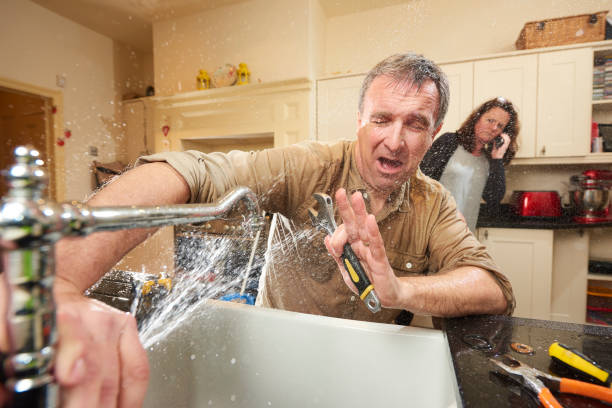 Best Water damage cleanup near me  in Stuarts Draft, VA